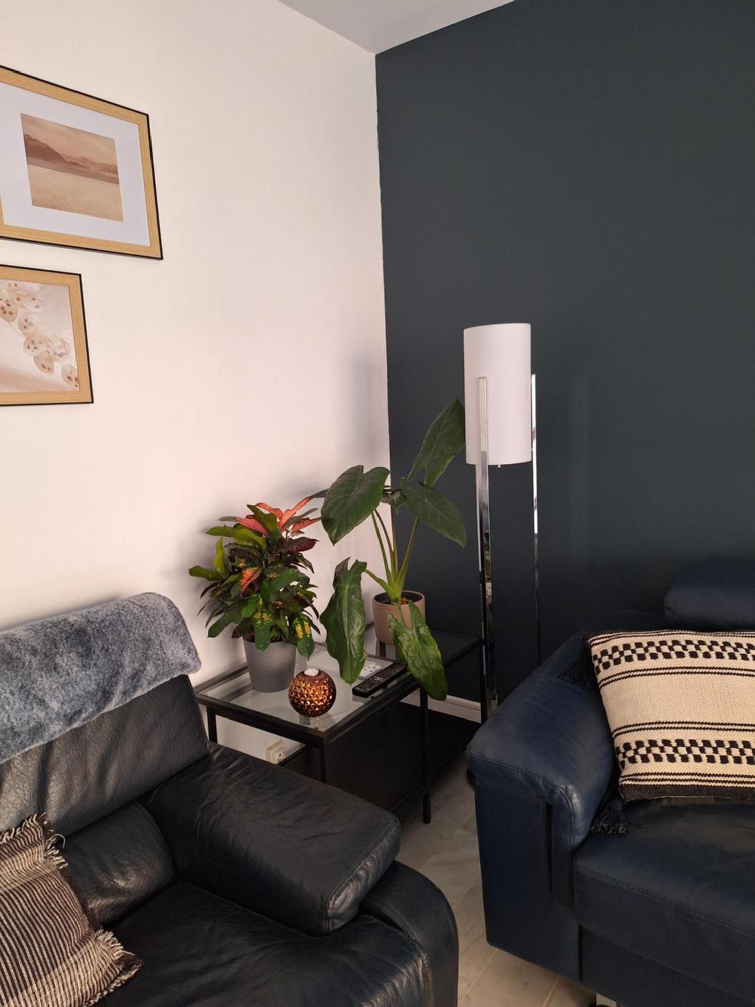 Appartement T3 Plein Centre Saint-Raphaël Екстериор снимка